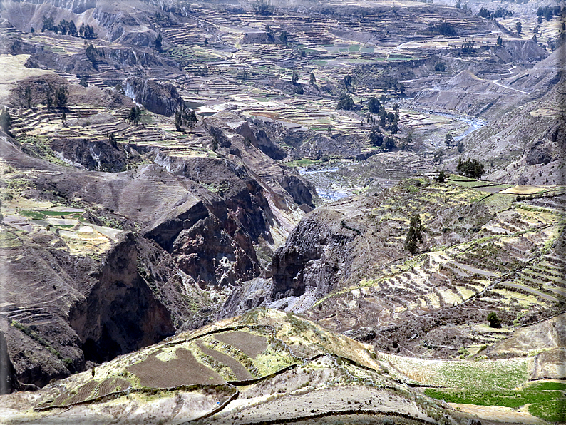 foto Canyon del Colca